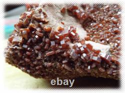 Gros spécimen brut de cluster de cristal de vanadinite de 12 livres