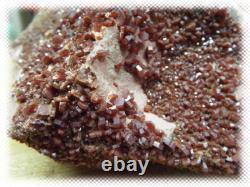 Gros spécimen brut de cluster de cristal de vanadinite de 12 livres