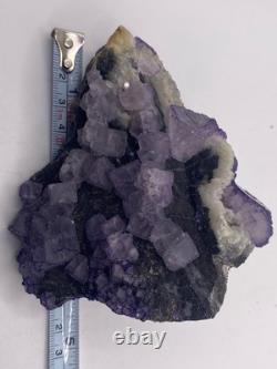 Groupe de Cristaux de Fluorite Cubique Violette ! Autonome et Double Face ! Voir