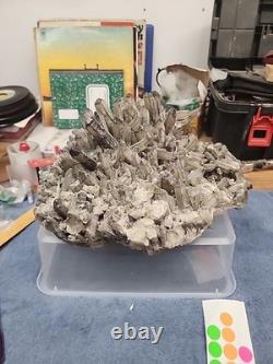 Groupe de Cristaux de Quartz Fumé 25 Lbs Belle Pièce