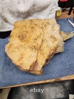 Groupe de Cristaux de Quartz de 16,5 Lbs, Pièce Magnifique