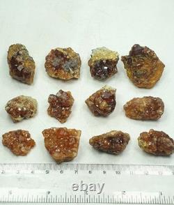 Groupe de grenats hessonites sur matrice avec éclat brillant (lot de 12 pièces)