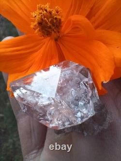 Herkimer ? Avec Ryder ? Sur Plaque Druze ! (Pièce Rare) De NY