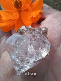 Herkimer ? Avec Ryder ? Sur Plaque Druze ! (Pièce Rare) De NY