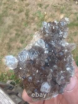 Herkimer ? Perchers On ? Plaque de Druze Fumée (Pièce Rare) Minéralogiste Direct