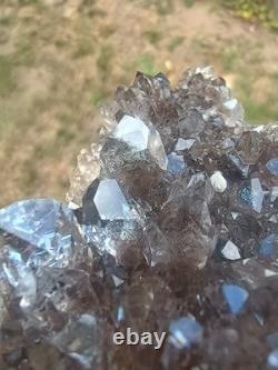 Herkimer ? Perchers On ? Plaque de Druze Fumée (Pièce Rare) Minéralogiste Direct