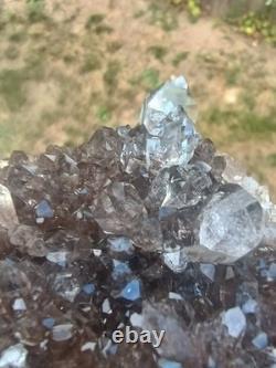 Herkimer ? Perchers On ? Plaque de Druze Fumée (Pièce Rare) Minéralogiste Direct