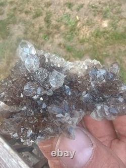 Herkimer ? Perchers On ? Plaque de Druze Fumée (Pièce Rare) Minéralogiste Direct