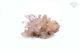 Himalayan Rose Quartz Cristal Cluster Pierre Rose 208gm Healing Mineral Specimen