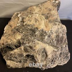 Honge Piece Rock Ston 11,6 Lb Argent/noir/blanc/gris