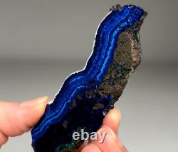 Incroyable Azurite Bleu Riche avec Malachite Verte