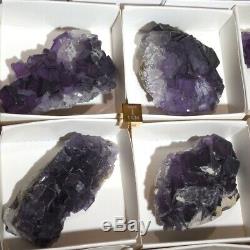 Lapis Lazuli Violet Fluorite En Gros Plat 27 Pièces Chine Afghanistan 4 Lbs