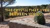 Le Cristal Qui Vit Entre Les Mondes