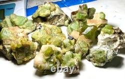 Lot de 15 spécimens de cristaux de péridot vert naturel provenant du Pakistan
