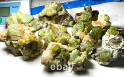 Lot de 15 spécimens de cristaux de péridot vert naturel provenant du Pakistan