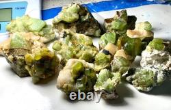 Lot de 15 spécimens de cristaux de péridot vert naturel provenant du Pakistan