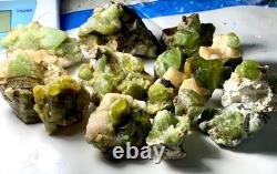 Lot de 15 spécimens de cristaux de péridot vert naturel provenant du Pakistan