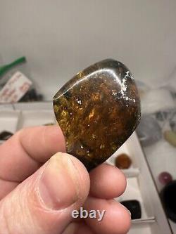 Lot de 24 pièces de spécimens minéraux en cristal d'ambre mexicain de type 'Chapas'