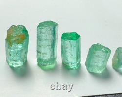 Lot de Cristaux Émeraude Verts Panjshir Top @AFG. 5 Pièces 8,8 Carats