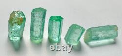 Lot de Cristaux Émeraude Verts Panjshir Top @AFG. 5 Pièces 8,8 Carats