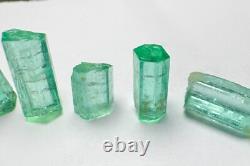 Lot de Cristaux Émeraude Verts Panjshir Top @AFG. 5 Pièces 8,8 Carats