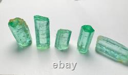 Lot de Cristaux Émeraude Verts Panjshir Top @AFG. 5 Pièces 8,8 Carats