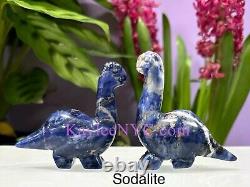 Lot de gros 7 PCs Mélange Naturel de Cristal Dinosaur? Énergie de Guérison