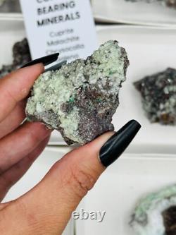 Lot de gros de spécimens de minéraux / cristaux de cuivre