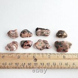 Lot de pierres de thomsonite du lac Supérieur 8 pièces