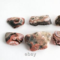 Lot de pierres de thomsonite du lac Supérieur 8 pièces