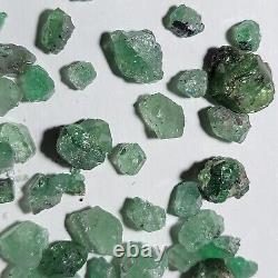 Lot en gros de 57 grammes de parcelle de pierres précieuses vertes Tsavorite provenant de Tanzanie, comprenant 50 pièces.