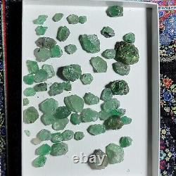 Lot en gros de 57 grammes de parcelle de pierres précieuses vertes Tsavorite provenant de Tanzanie, comprenant 50 pièces.