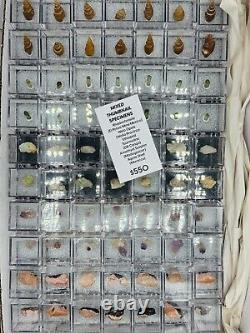 Lot en gros de cristaux mélangés 70% Opale / Tourmaline / Améthyste / Agate / et plus