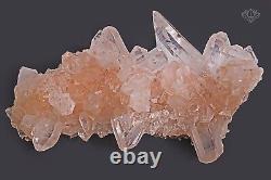 Magnifique Pointu Rose Samadhi Quartz 1078gm Healing Cluster Mineral Specimens