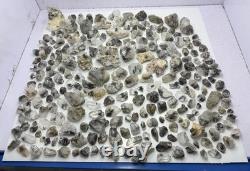 Meilleures pièces de quartz Top Brokite 230 pièces