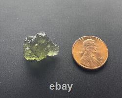 Moldavite 12.5ct Pièce de Manteau Régulière de Besednice Certificat d'Authenticité