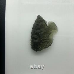 Moldavite Crystal 7.86gr/39.30ct Pièce Collector Besednice Stoh Localité