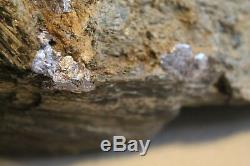 Molybdenite Sur Une Piece D'affichage De Matrice Speciman Grande Piece De 7 Lb Vieux Stock