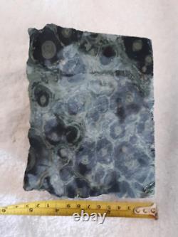 Natural Raw Kambaba Jasper Crystal/stone, Grande Pièce, Vraiment Agréable, Pees 5.50