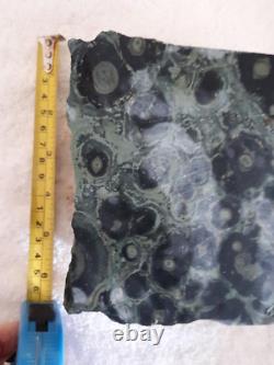 Natural Raw Kambaba Jasper Crystal/stone, Grande Pièce, Vraiment Agréable, Pees 5.50