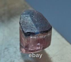 Natural Transparent Terminé Pink Tourmaline Crystal Lot (79 Carat, 14 Pièces)
