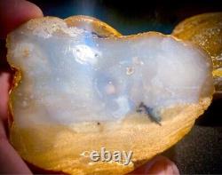 Nodule d'opalisation - Gemme super rare de silicate, pièce entière taillée avec cristal dendritique.