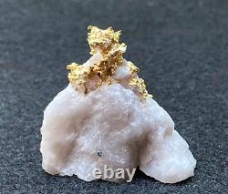 Or translated as: Or d'or cristallisé sur du quartz 18 gm TW - Belle pièce d'exposition 4 cm x 3.5 cm