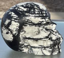 Pièce d'affichage de crâne sculpté à la main en jaspe noir poli de 2,9 lb