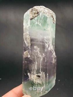 Pièce de cristal naturel de Kunzite d'Afghanistan 879 carats