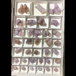 QUARTZ SPIRITE Cristal Cactus 34 Pièces Couleurs Mixtes CCflat81