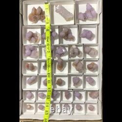 QUARTZ SPIRITE Cristal Cactus 34 Pièces Couleurs Mixtes CCflat81