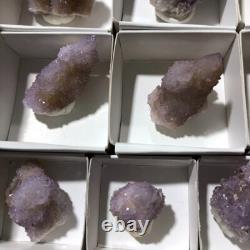 QUARTZ SPIRITE Cristal Cactus 34 Pièces Couleurs Mixtes CCflat81