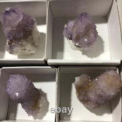 QUARTZ SPIRITE Cristal Cactus 34 Pièces Couleurs Mixtes CCflat81