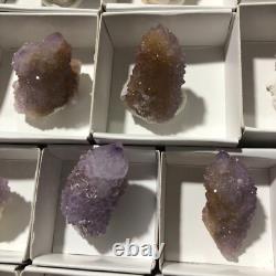 QUARTZ SPIRITE Cristal Cactus 34 Pièces Couleurs Mixtes CCflat81